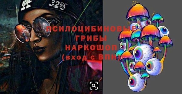 соль ск Алексин