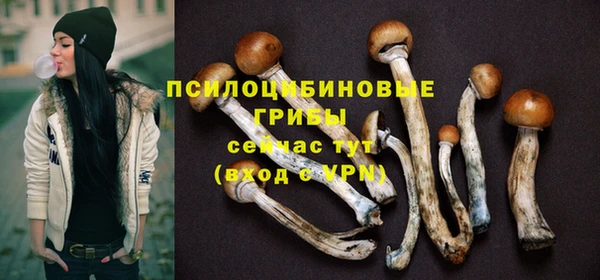 гидра Алексеевка