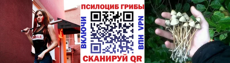 наркошоп  Орёл  Галлюциногенные грибы Cubensis 